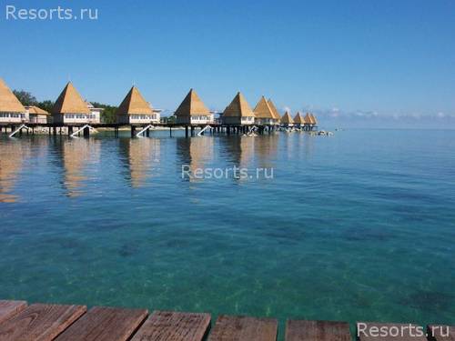 Coral Palms Island Resort 7